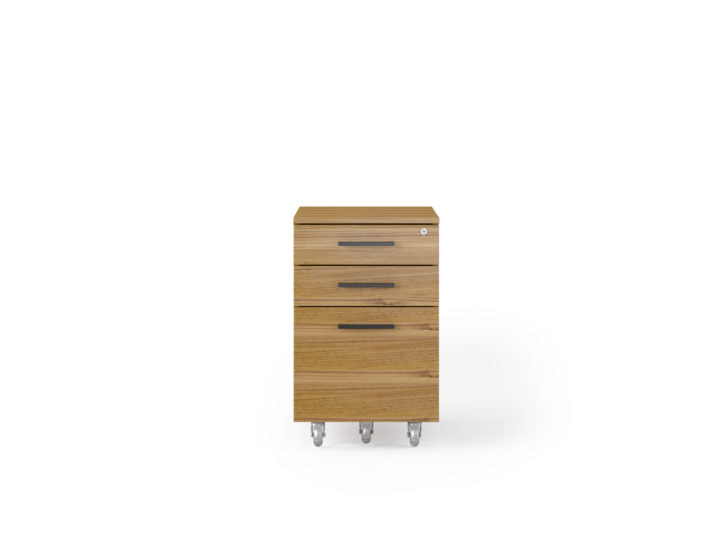 Armoire de rangement et de classement mobile basse BDI Sequel 20 6107